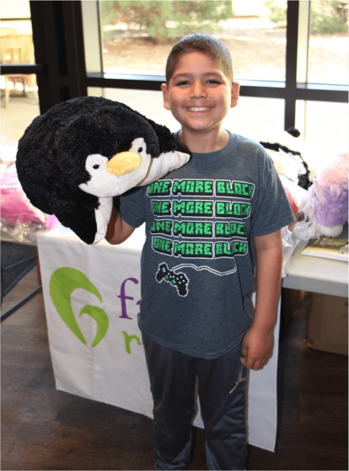 Read more about the article Need another reason to love Pillow Pets?