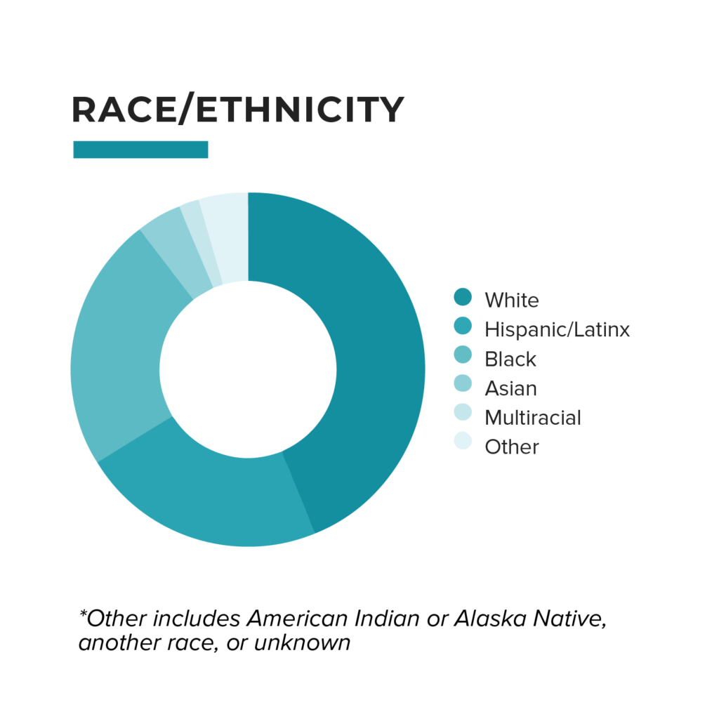 Race/ethnicity breakdown