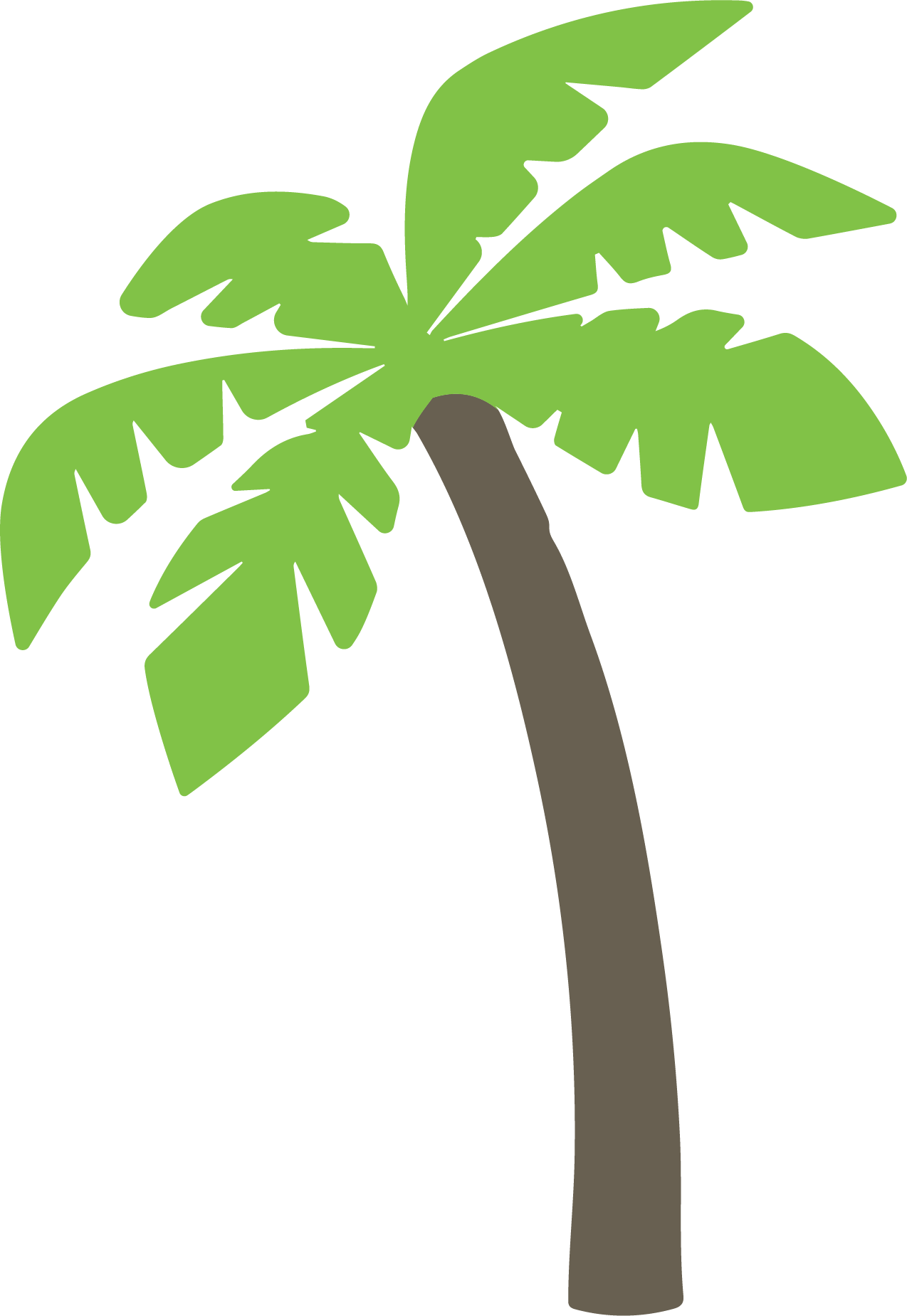 Palm Tree