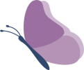 Violet Butterfly