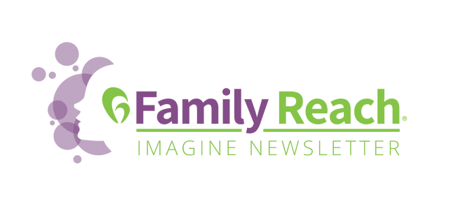 Imagine Newsletter Logo